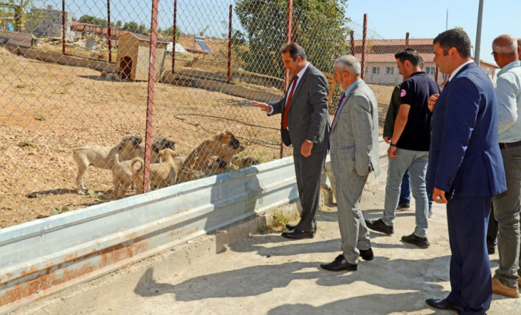 Elazığ Belediyesi Geçici Hayvan Bakımevi ve Rehabilitasyon Merkezi'ne Ziyaret 